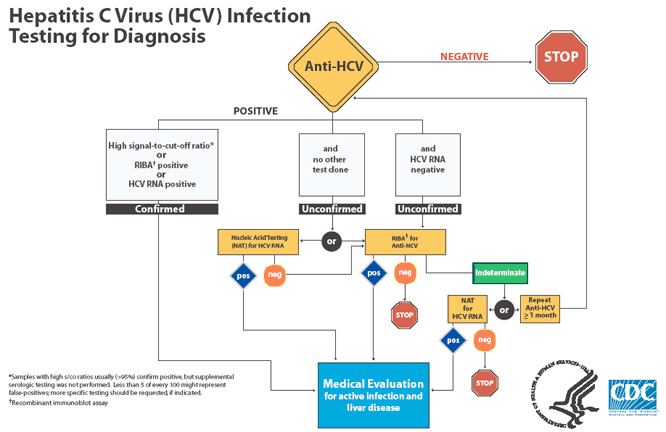 HCV testing options